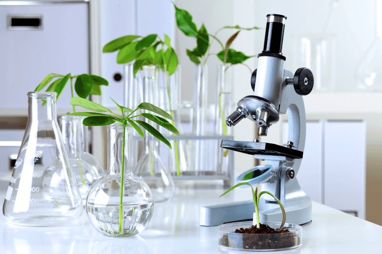 grado-biologia-españa-salidas-profesionales