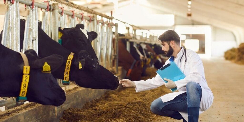 Áreas da medicina veterinária