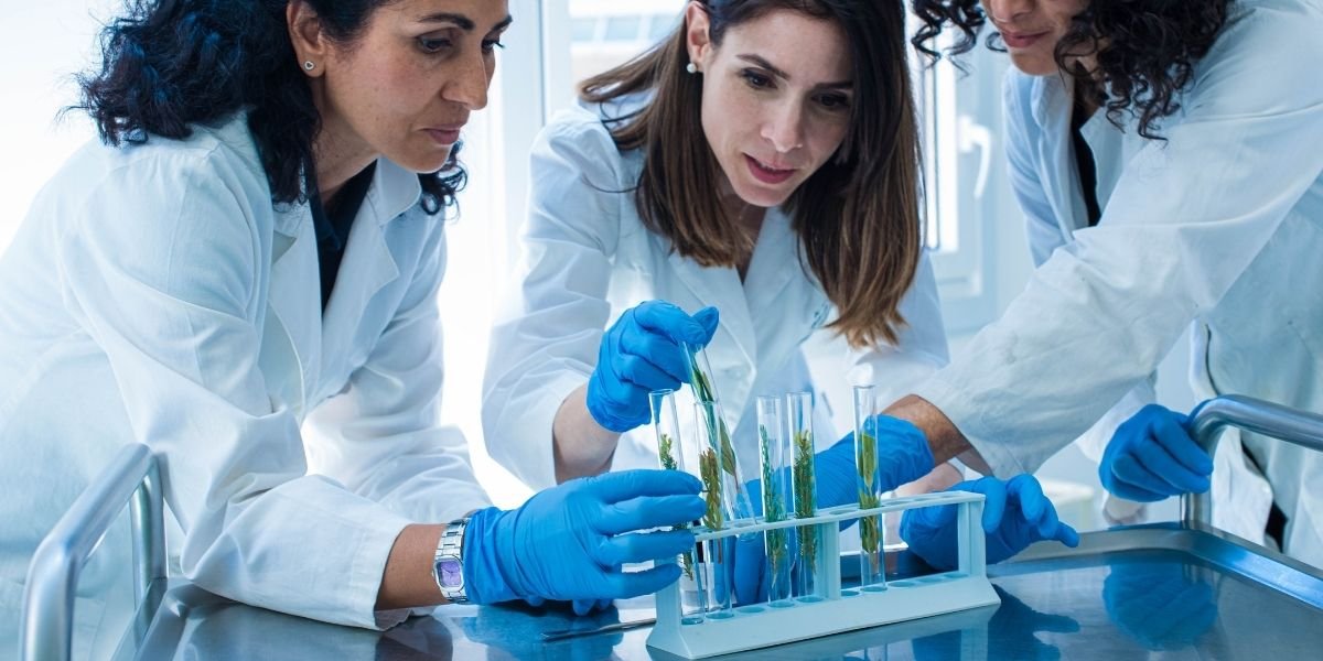 Factores clave al elegir la universidad en donde estudiar ingeniería genética