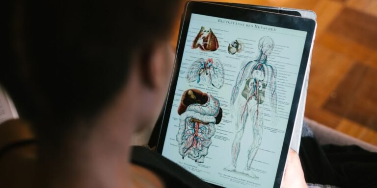 s melhores países para estudar medicina no estrangeiro