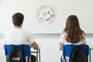 Bachillerato de Ciencias de la Salud: asignaturas, salidas y por qué elegirlo